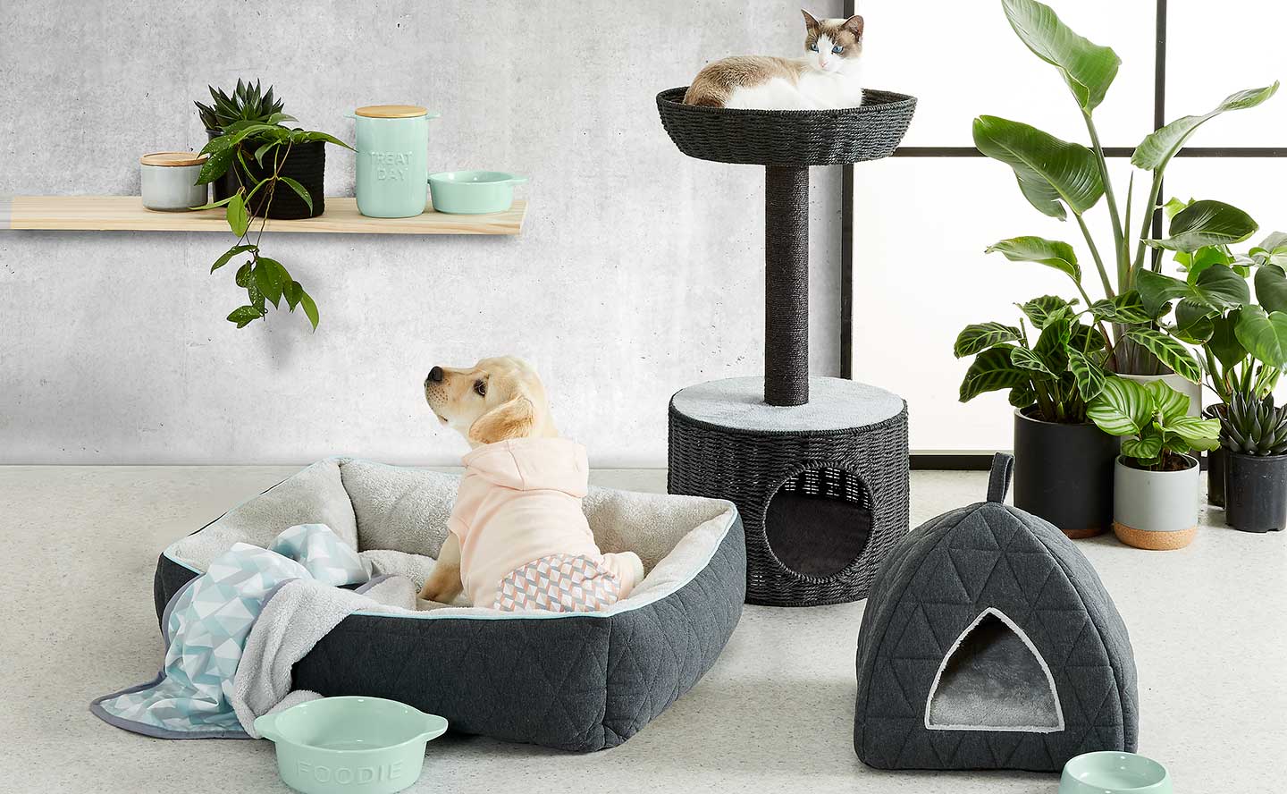 Articoli e accessori per il comfort degli animali domestici